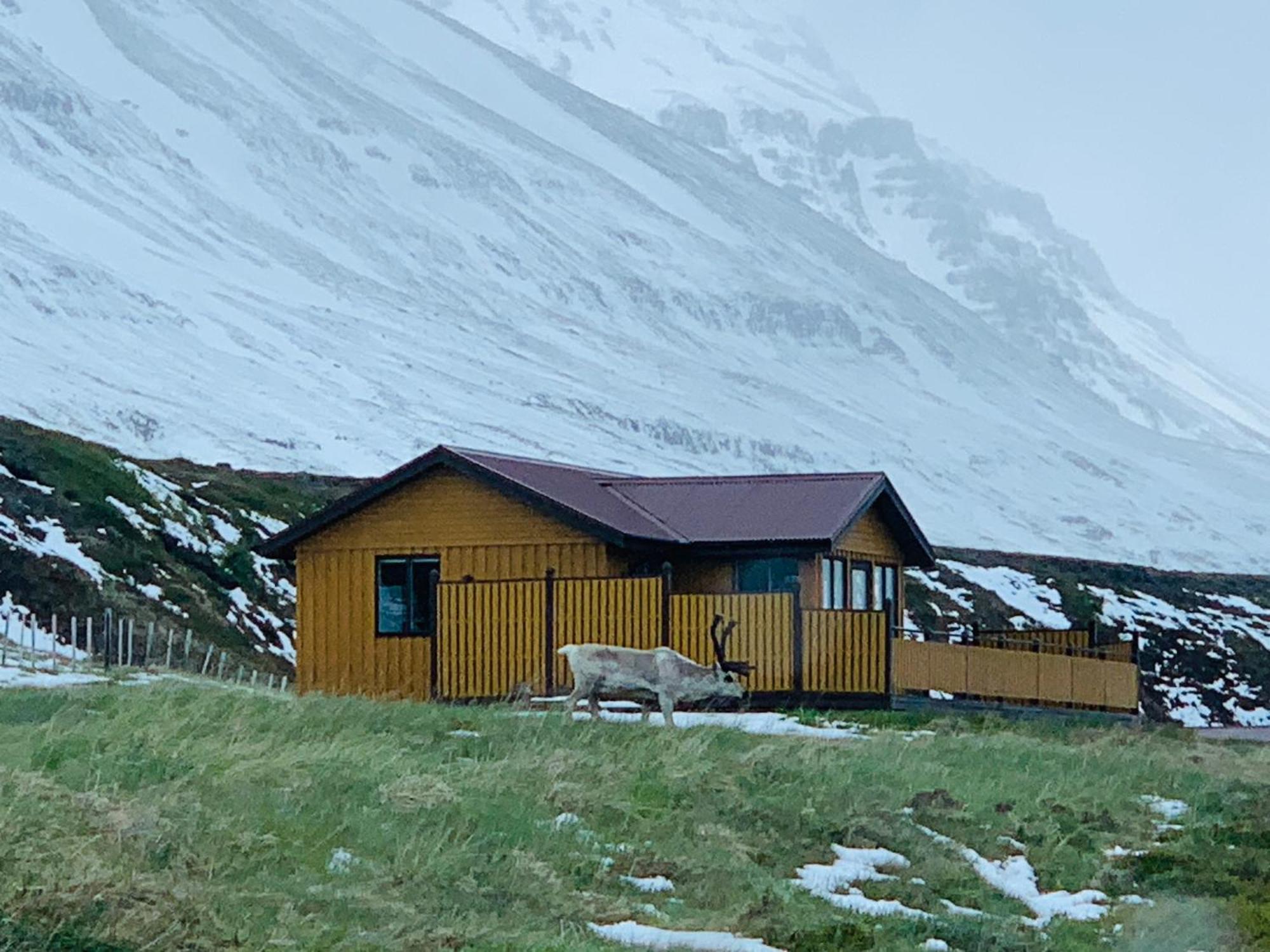 Langahlid Cottages & Hot Tubs Seyðisfjörður Bagian luar foto