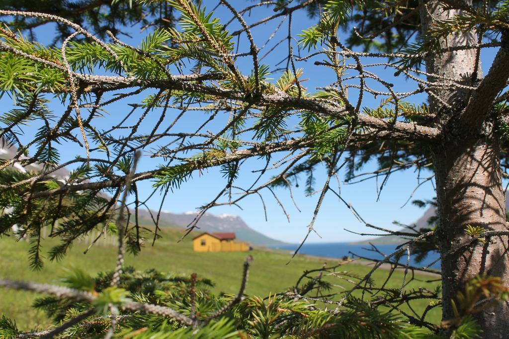 Langahlid Cottages & Hot Tubs Seyðisfjörður Bagian luar foto